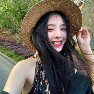忍冬玫瑰